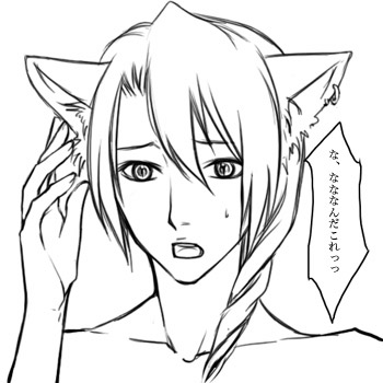 nekomimi.jin (0x0..30986kb) up