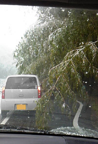 yuki.jpg (200x295..24.0kb) up